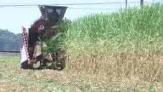 Farmers, fishermen feeling effects of trade war