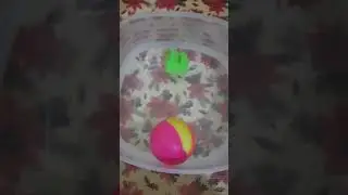 science Topic (float, sink , and dissolve )
