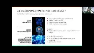 Александра Белявская: Секвенирование длинными прочтениями и изучение симбиотических систем