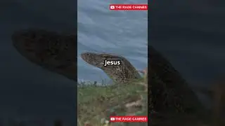 Top 10 Most Amazing Animal Adaptations You Won&rsquo;t Believe! 😳 #animals #nature