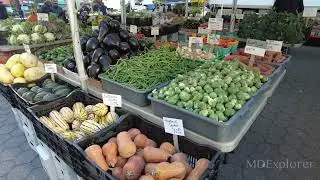 Grocery Shopping at the Union Square Green Market in NYC