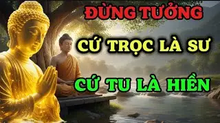 Đừng tưởng cứ trọc là sư, cứ tu là hiền