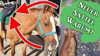 Warum ein neuer Sattel?? Feedback Baumloser Sattel | Serenity Horses