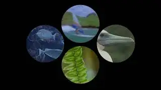 Southern Shores - Take Me Anywhere [Music Video]