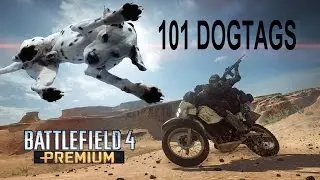 Battlefield 4: 101 dogtags!