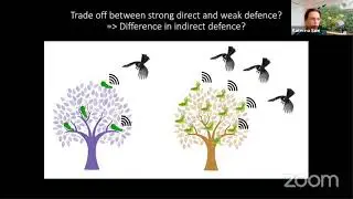 Seminar on plant herbivore predator interactions