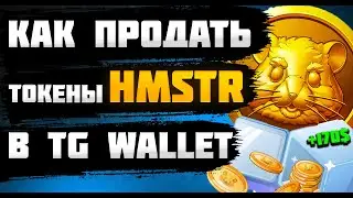 КАК ПРОДАТЬ ТОКЕНЫ HAMSTER KOMBAT В TELEGRAM WALLET ?!