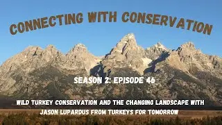 Season 2: Episode 46: Wild Turkey Conservation and the Changing Landscape with Jason Lupardus.