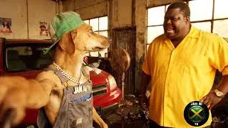 Maximus Unleashed ! _ Dawg Full a Drama ! #jamaican Comedy - Jamaican Memes #shorts #jamaicancomedy