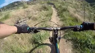 Electric Avenue/Weta @ Belmont.Regional Park