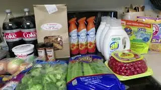 Weekly Grocery Haul | Dollar General Deals | Weekly Menu Plan | Thanksgiving Menu 2020