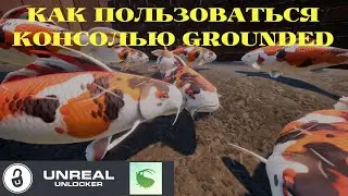 HOW TO USE THE CONSOLE (INSTALLATION, USE) GROUNDED 2022