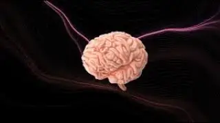 The Brain Benefits of Being Bilingual: A Cognitive Adventure