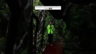 Best forest resorts in kerala|Holistic stay resort paithalmala
