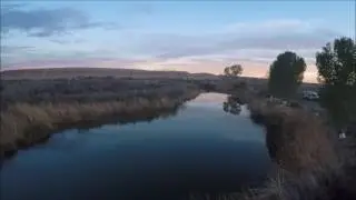 Irene's Vanventures Fly, Feb 2017