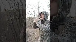 Finding Spring Turkeys Everywhere! Gobbles from All Directions #longbeards #scouting #huntingprep