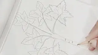 पपीते का पेड़ का चित्र /Papeeta plant Drawing easy