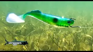 SECRET NEW FISHING LURE! 🤫. How to catch BIG TROUT on the flats all Winter and Spring long!