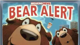 Breaking News: Bear Alert