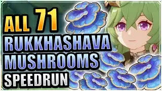 ALL 71 Rukkashava Mushroom Locations EFFICIENT & FAST ROUTE Genshin Impact Collei Ascension Material