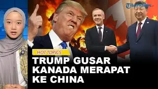 Carney-Xi Jinping Friendly, Is It True That Trump Will Take a Tough Stance on Canada?