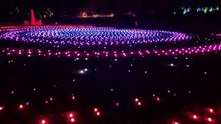 LIGHTSCAPE AT THE ARBORETUM IN LOS ANGELES