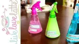 VLOGust 2014: Day 13 - All Natural Cleaners {how to organize}