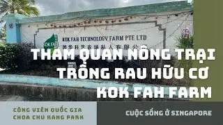 Tham quan n&ocirc;ng trại trồng rau hữu cơ Kok Fah Farm v&agrave; c&ocirc;ng vi&ecirc;n quốc gia Choa Chu Kang ở Singapore