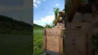 Honey Job Slovakia