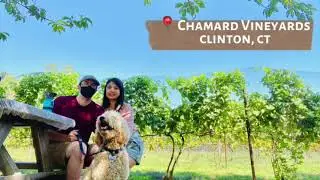 CHAMARD VINEYARDS TOUR | A Beautiful Day in Clinton | Summer in Connecticut | Marchmalloworld