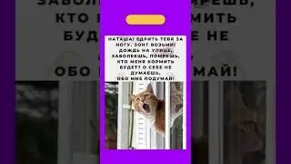 #юмор #мем #memes