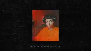 Tally Schwenk - Mango Tree (ROUGHJAMS)