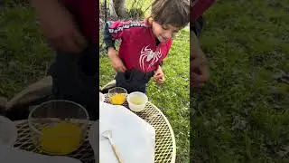 Chef Jasper give tutorial on Candied Violets 