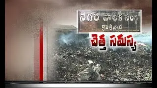 Insanity in Kakinada Municipal Corporation | Troubling Residents | Causing Several Illnesses