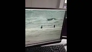 Спасение у Каспия: полицейские вытащили подростка из ледяной воды
