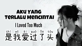 是我爱过了头 • Shi Wo Ai Gui Le Tou • 洋澜一 • Yang Lan Yi • Aku Yang Terlalu Mencintai • Chinese Song