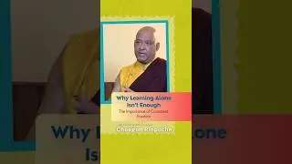 Why Learning Alone Isn&rsquo;t Enough: The Importance of Consistent Practice #DrukpaChoegonRinpoche