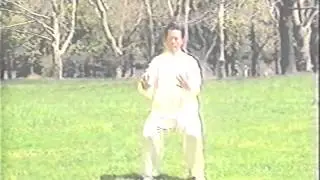 Ren Guan Yi performing Lao Jia, 2nd Routine (Cannon Fist)