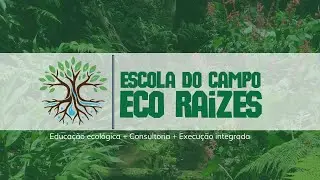 Grupo de Estudo Eco Raízes - Estudando o Manual do Solo Vivo de Ana Primavesi. Encontro 4