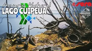 ACUARIO NATURAL LAGO CUIPEUA