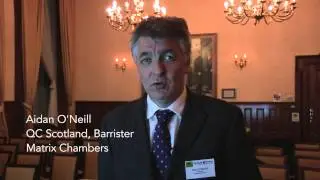 The role of the Charter of Fundamental Rights within the EU legal framework.