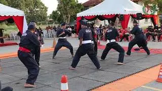 Persatuan Seni Silat Cekak Pusaka Ustaz Hanafi Malaysia