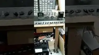 Peavey 6505+ Metal Mod
