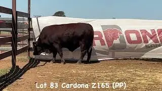 LOT 83. CARDONA Z165 (PP)