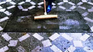 The Sweetest Carpet I Have Ever Washed  | Satisfying Carpet Cleaning | Rug Cleaning ASMR