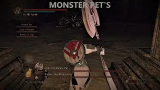 Dark Souls 2 Lud and Zellen Boss Fight Vestiges Plus Mod
