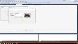 ADO NET III   Parameterized Query