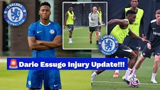Hot🔥Chelsea's Dario Essugo suffers Injury that Shocks Enzo Maresca