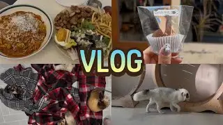 신박커플 서면데이트🥰/서면 개화상/전포 HASH🍝/서면 마리앤쥬🦉/서면 갯벌집🍴