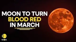 Blood Moon 2026: Blood Moon Returns In March, First Total Lunar Eclipse Of 2026&nbsp;| WION Originals